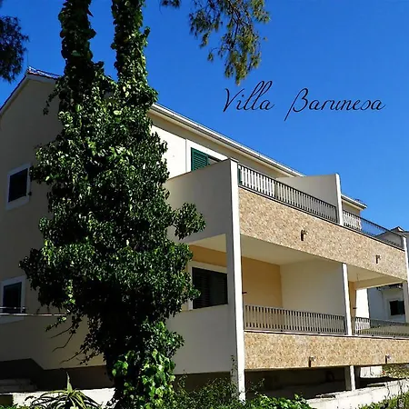 Barunesa